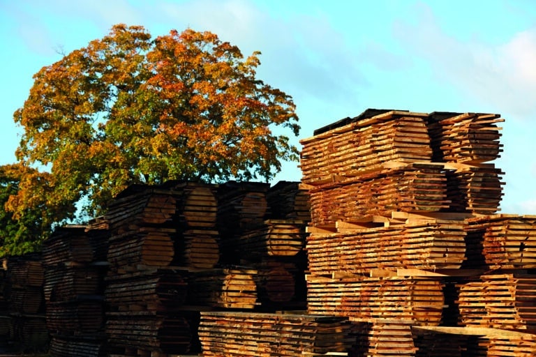 stacked tree studs