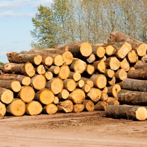 provenance of wood src burgundy sawmill quality information