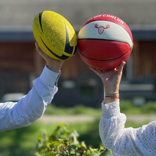 whatsapp image 2025 09 18 at 15.01.08