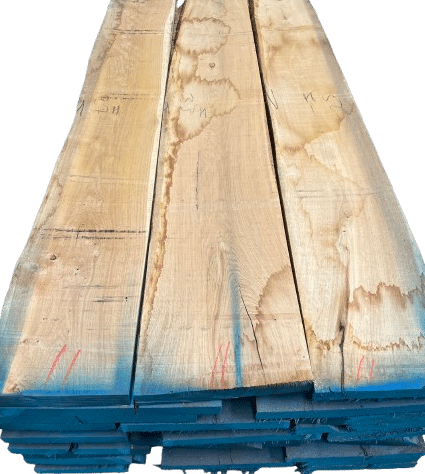 img 7402 removebg preview