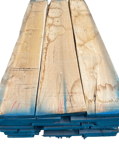 img 7402 removebg preview