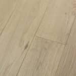 mica zoom src hd (1)