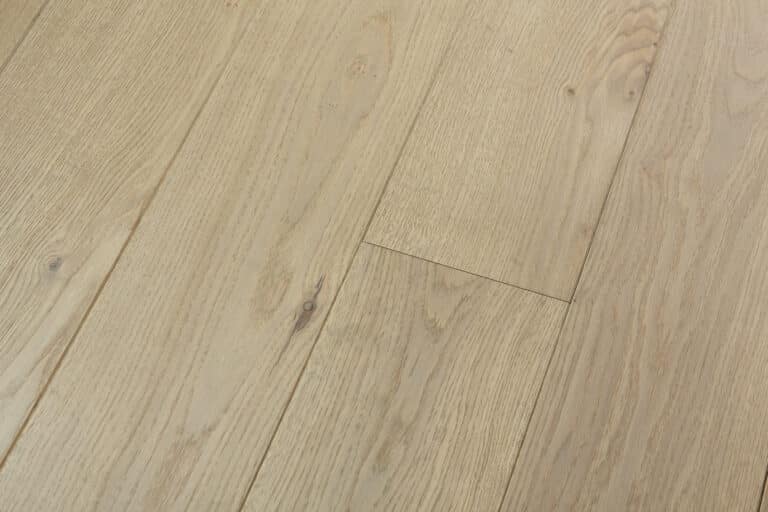 mica zoom src hd (1)